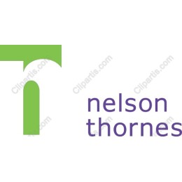 Modern N T Logo