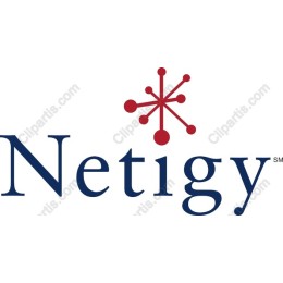Netigy Logo