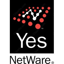 Bold for Tech Branding
