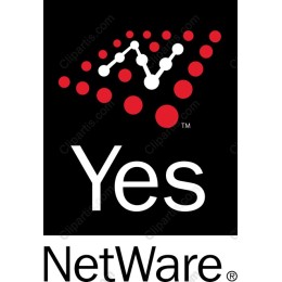 Dynamic Network Connection