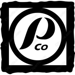 Dynamic Circular Logo