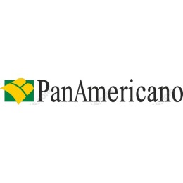 PanAmericano Logo