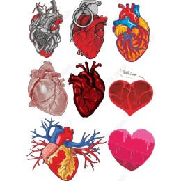 Heart Collection - 9 Unique