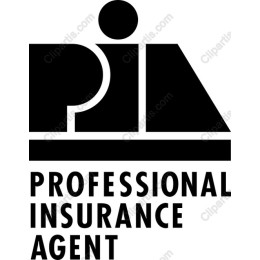 Professional Insurance Agent