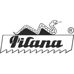 Ilana Snake Logo