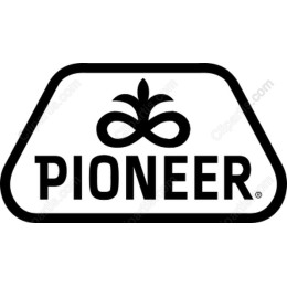 Pioneer Logo