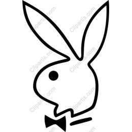 Playful Bunny