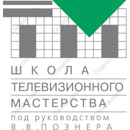 School of Television Mastery Logo
