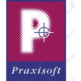 Praxisoft Modern Logo