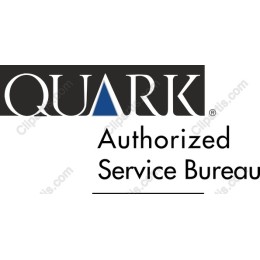 Premium Logo for Professional Use