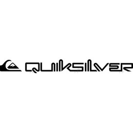 Dynamic Surfing Logo
