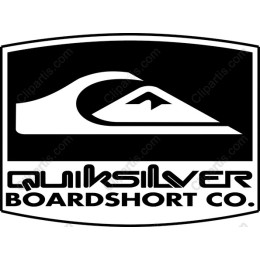 Quiksilver Boardshort Co. Iconic Logo