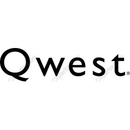 Modern Logo