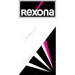 Dynamic Geometric