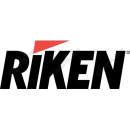 RIKEN Logo