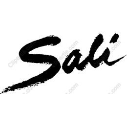 Sali Bold Brushstroke