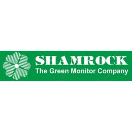 Vibrant Shamrock Logo