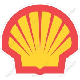 Vibrant Shell
