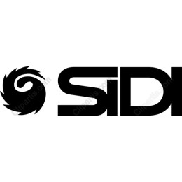 Dynamic Swirl Logo