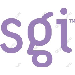 Stylish sgi Logo