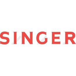 Vibrant SINGER Typography Image