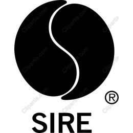 Elegant Coffee Bean Logo