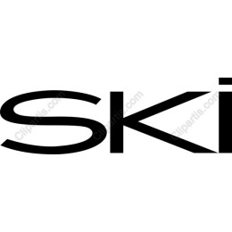 Dynamic Ski