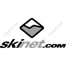 Modern Logo for Skinet.com