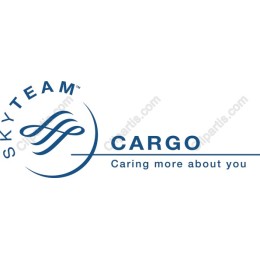 SKYTEAM CARGO Logo