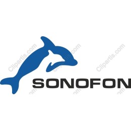 Playful Dolphin