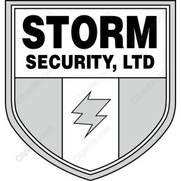 Storm Security, Ltd. Logo