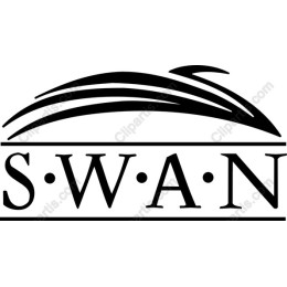Elegant Swan