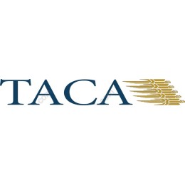 Professional Logo