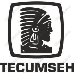 Tecumseh Native American