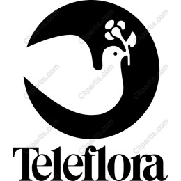 Elegant Dove and Floral