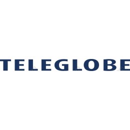 TeleGlobe Premium Logo