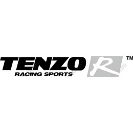 Tenzo Racing Sports Logowork