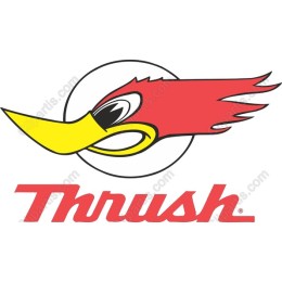 Thrush