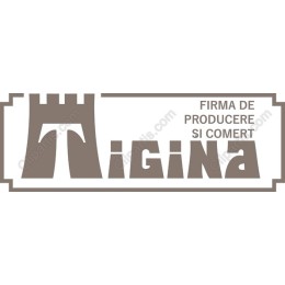 Tigina Logo