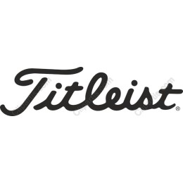 Elegant Cursive Logo
