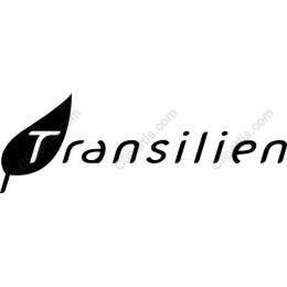 Transilien Logo
