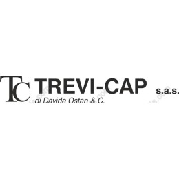 TREVI-CAP s.a.s. Elegant Logo