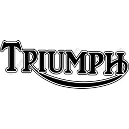Triumph Vintage Typography