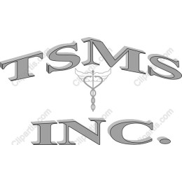 TSMS Inc. Logo
