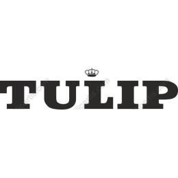 Elegant TULIP with Crown