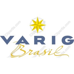 VARIG Brasil Vintage Logo