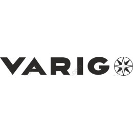 VARIG Logo