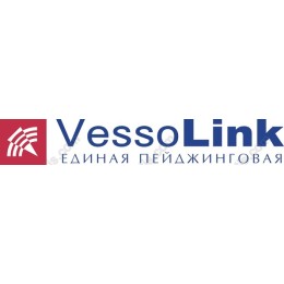 VessoLink Professional Logo