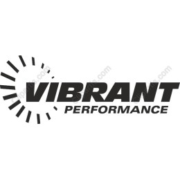 Vibrant Performance Logo