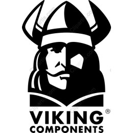 Viking Warrior